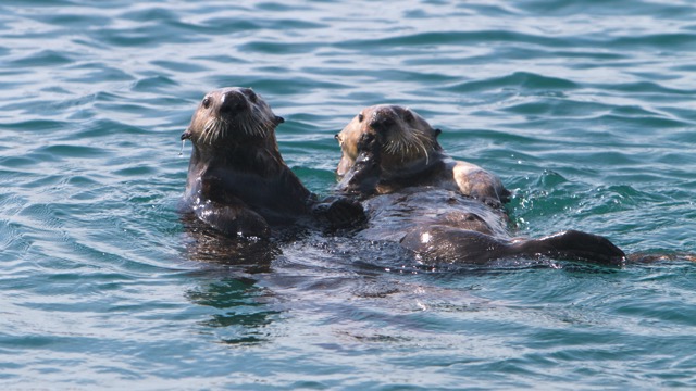 On Location: Morro Bay, CA